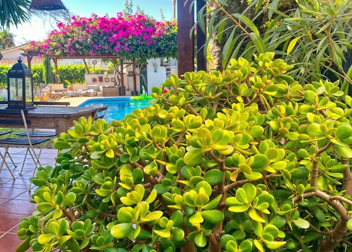 Alfredo - Private Pool Next To The *