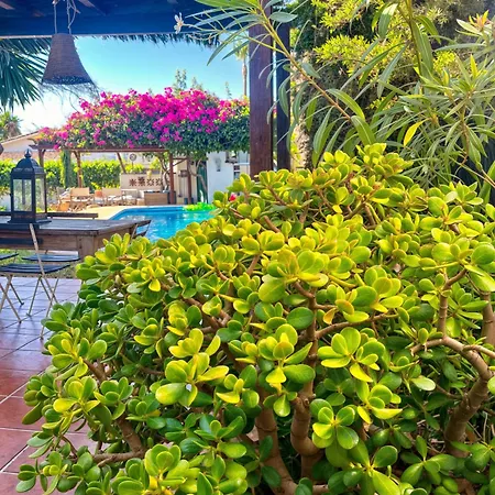 Alfredo - Private Pool Next To The *